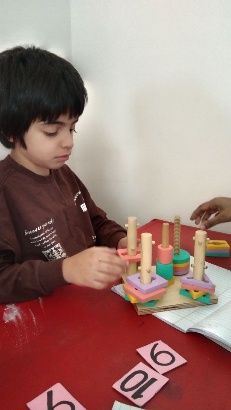 IPSOS Foundation supported activities